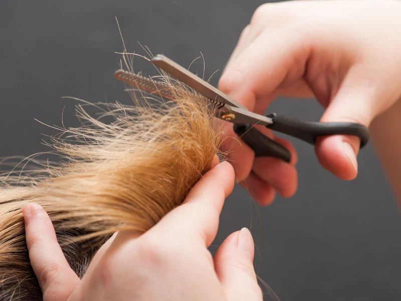 موخوره مو چیست؟